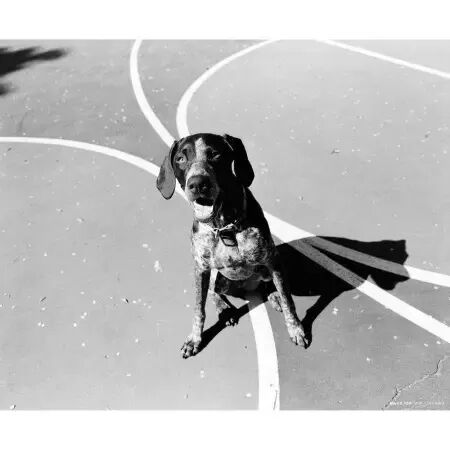 CINESTILL BwXX 120 (&agrave; l\'unit&eacute;)