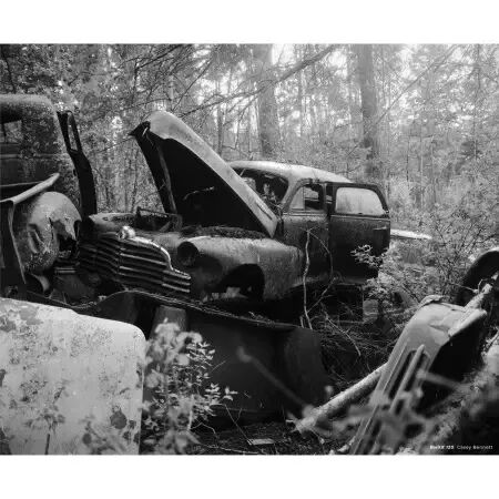 CINESTILL BwXX 120 (&agrave; l\'unit&eacute;)