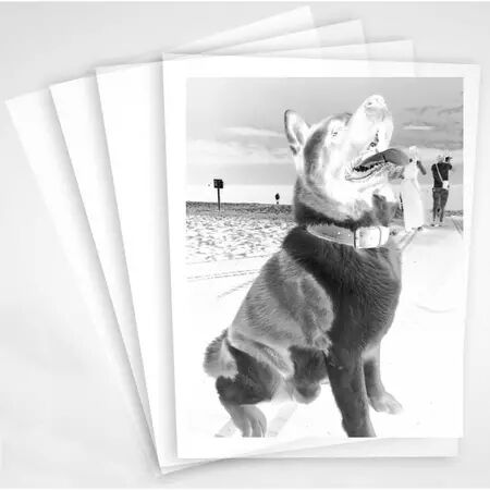 FILMS TRANSPARENT POUR IMPRIMANTE - 10 FEUILLES - A4