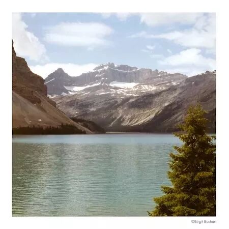 HARMAN PHOENIX II 200 120 (&agrave; l\'unit&eacute;)