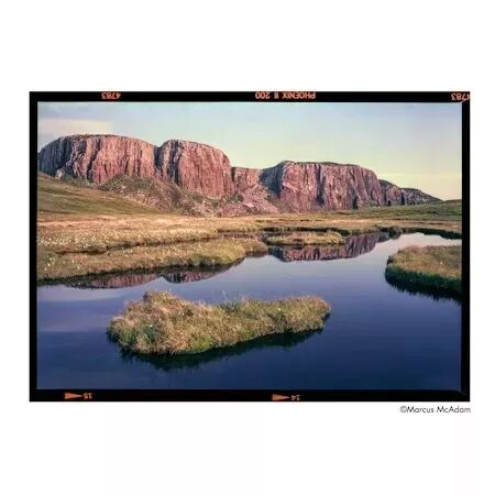 HARMAN PHOENIX II 200 135-36 (&agrave; l\'unit&eacute;) - Livraison &agrave; partir du 21/07/2025