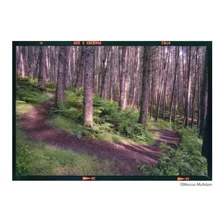 HARMAN PHOENIX II 200 135-36 (&agrave; l\'unit&eacute;) - Livraison &agrave; partir du 21/07/2025