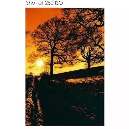 HARMAN RED 135-36 (&agrave; l\'unit&eacute;)