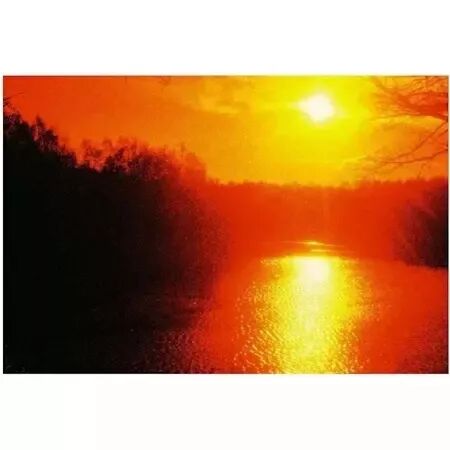 HARMAN RED 135-36 (&agrave; l\'unit&eacute;)