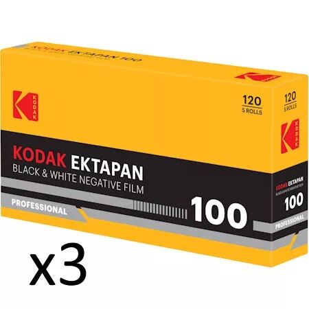 KODAK T-MAX 100 (EKTAPAN) 120 (par 3)