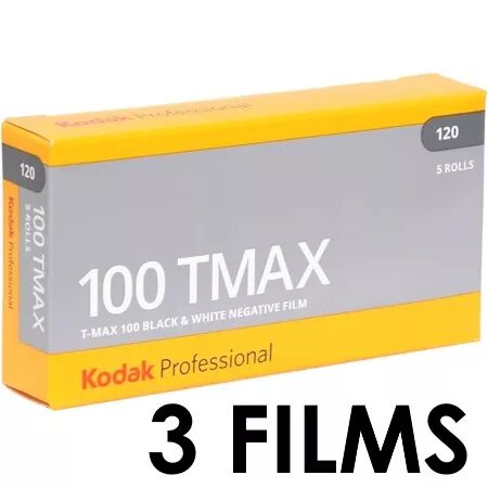 KODAK T-MAX 100 (EKTAPAN) 120 (par 3)